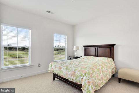 2718 Marsh Elder Rd, Cambridge, MD 21613 photo 44