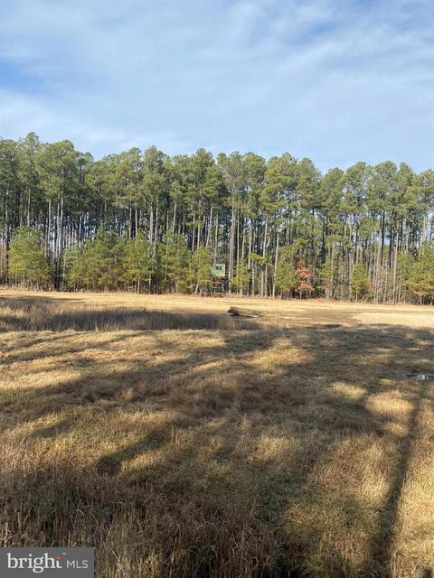 3173 Robbins Rd, Crapo, MD 21626 photo 7