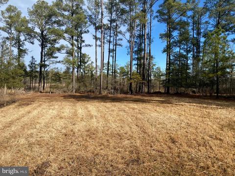 3173 Robbins Rd, Crapo, MD 21626 photo 17