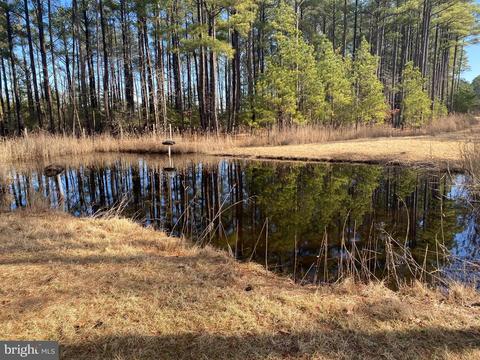 3173 Robbins Rd, Crapo, MD 21626 photo 11