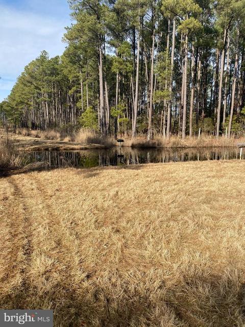 3173 Robbins Rd, Crapo, MD 21626 photo 12