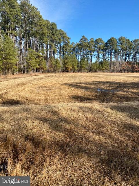 3173 Robbins Rd, Crapo, MD 21626 photo 4