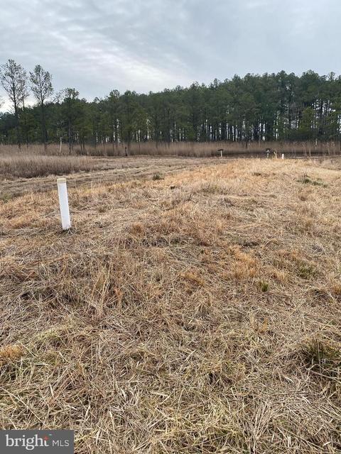 3173 Robbins Rd, Crapo, MD 21626 photo 50