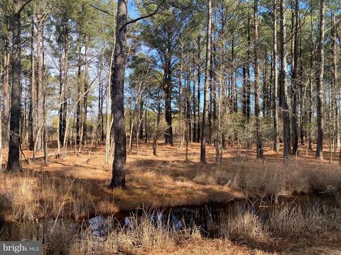 3173 Robbins Rd, Crapo, MD 21626 photo 10