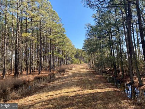 3173 Robbins Rd, Crapo, MD 21626 photo 9