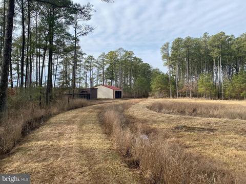 3173 Robbins Rd, Crapo, MD 21626 photo 27