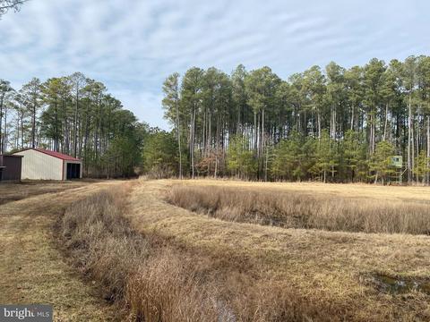 3173 Robbins Rd, Crapo, MD 21626 photo 28