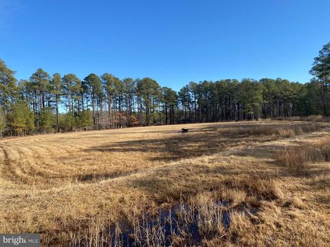 3173 Robbins Rd, Crapo, MD 21626 photo 3