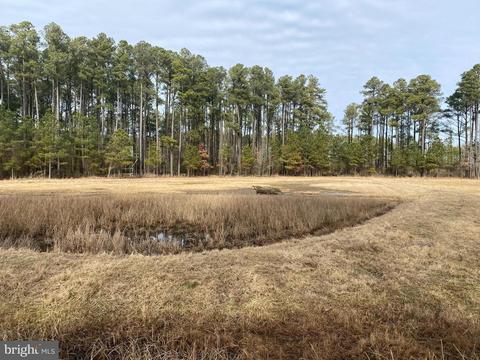 3173 Robbins Rd, Crapo, MD 21626 photo 29