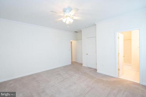 7 Mimosa, Cambridge, MD 21613 photo 22