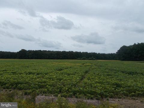 Hawkeye Road, East New Market, MD 21631