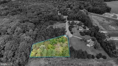 5600 Federal Hill Rd, Federalsburg, MD 21632