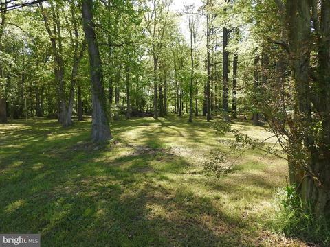 5453 Mount Holly Rd, East New Market, MD 21631