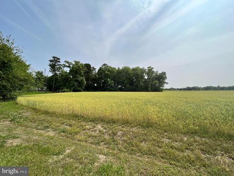 6627 Pine Top Rd, Hurlock, MD 21643