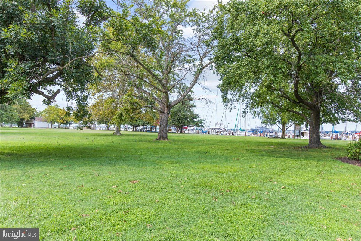 106 Lee Dr, Cambridge, MD 21613 photo 46