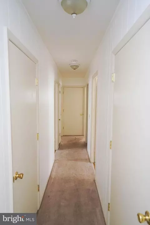 119 Gold Rush Ln, Hurlock, MD 21643 photo 17