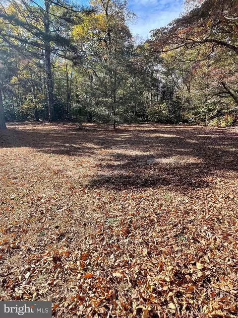 Exterior - 5953 Palmers Mill Rd, Hurlock, MD 21643 photo 3 of 5