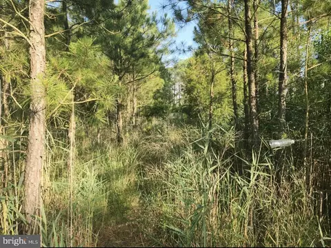 0 Wesley Rd, Wingate, MD 21675 photo 3