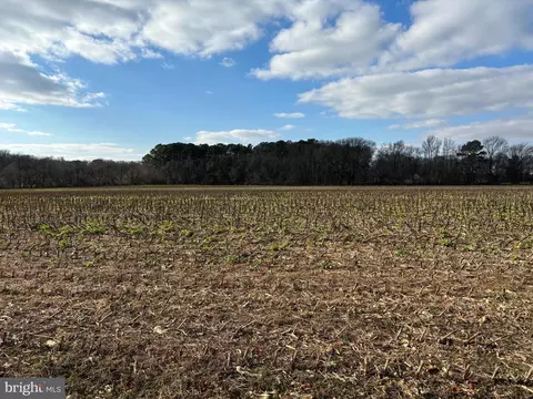 Cokesbury Road, Rhodesdale, MD 21659