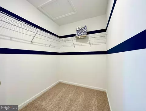 Other - 1637 Terrapin Cir, Cambridge, MD 21613 photo 3 of 6