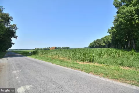 Other - 6935 Hynson Rd, Hurlock, MD 21643 photo 3 of 4
