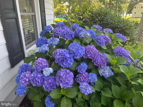 Exterior - 1705 Hambrooks Blvd, Cambridge, MD 21613 photo 11 of 17