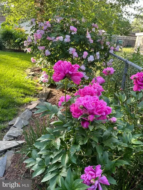 Other - 1705 Hambrooks Blvd, Cambridge, MD 21613 photo 6 of 9