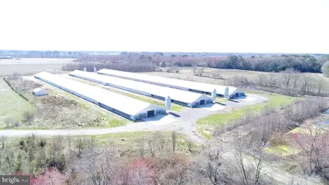 4890 Drawbridge Rd, Cambridge, MD 21613 photo 1