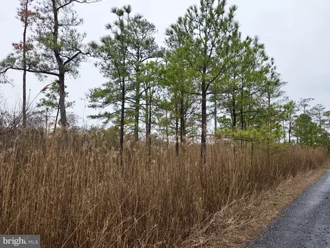 Wesley Road, Crapo, MD 21626 photo 4