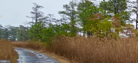 Wesley Road, Crapo, MD 21626 photo 2