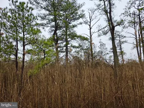 Wesley Road, Crapo, MD 21626 photo 3