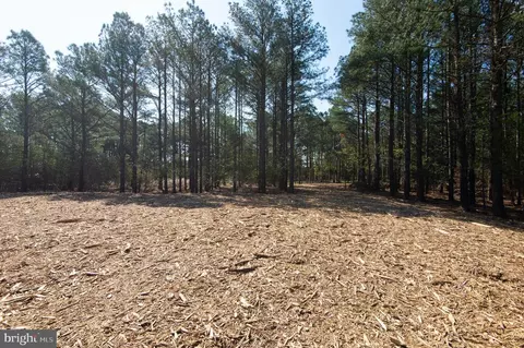 5012 Cherry Point Rd, Woolford, MD 21677 photo 16
