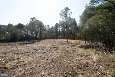 5012 Cherry Point Rd, Woolford, MD 21677 photo 17