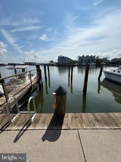 View/Area - 302 Academy St #301A, Cambridge, MD 21613 photo 18 of 18