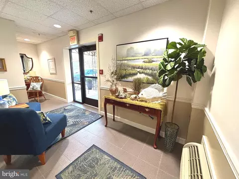 Entry Way - 302 Academy St #301A, Cambridge, MD 21613 photo 4 of 4