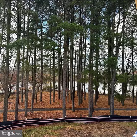 View/Area - 2743 Marsh Elder Rd, Cambridge, MD 21613 photo 1 of 2