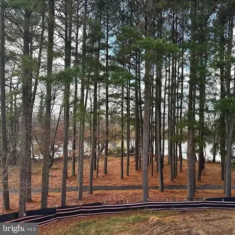 View/Area - 2743 Marsh Elder Rd, Cambridge, MD 21613 photo 2 of 2