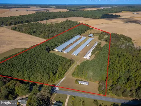 5936 Newhart Mill Rd, Rhodesdale, MD 21659
