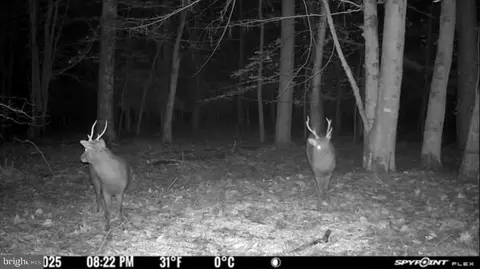 Gregory Rd, Cambridge, MD 21613 photo 20