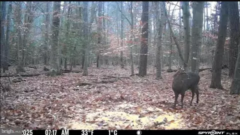 Gregory Rd, Cambridge, MD 21613 photo 19
