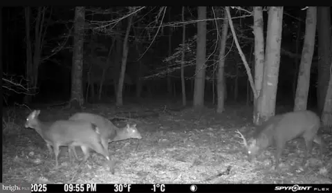 Gregory Rd, Cambridge, MD 21613 photo 21