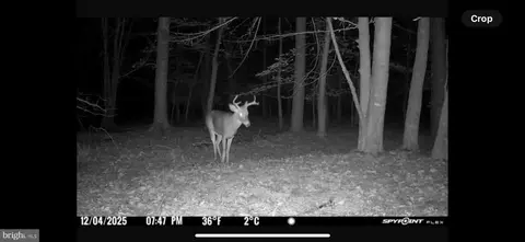 Gregory Rd, Cambridge, MD 21613 photo 18