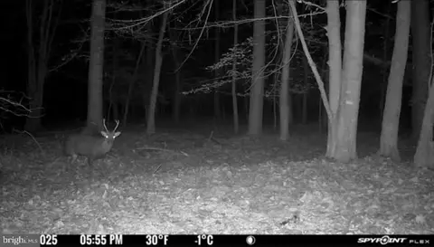 Gregory Rd, Cambridge, MD 21613 photo 22