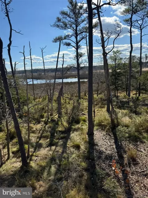 Robinson Neck Road, Taylors Island, MD 21669