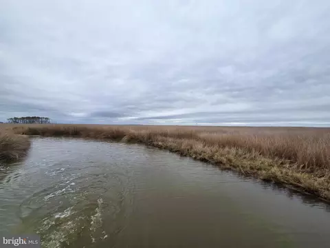 Duck, Crapo, MD 21626 photo 4
