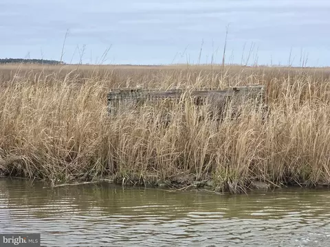 Duck, Crapo, MD 21626