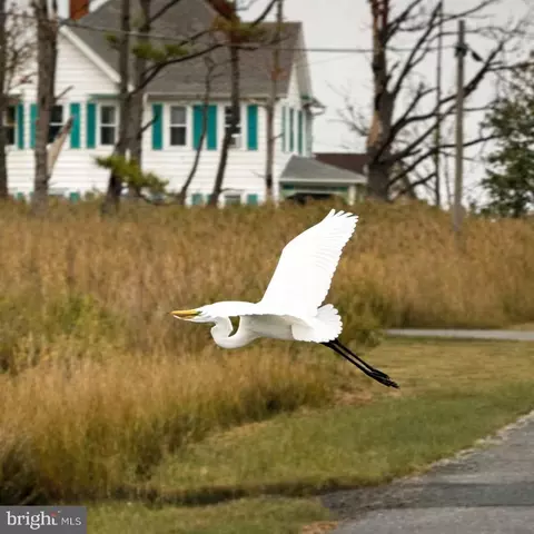 1606 Steamboat Wharf Rd, Fishing Creek, MD 21634