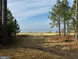 View/Area - 5332 Ragged Point Rd, Cambridge, MD 21613 photo 9 of 9