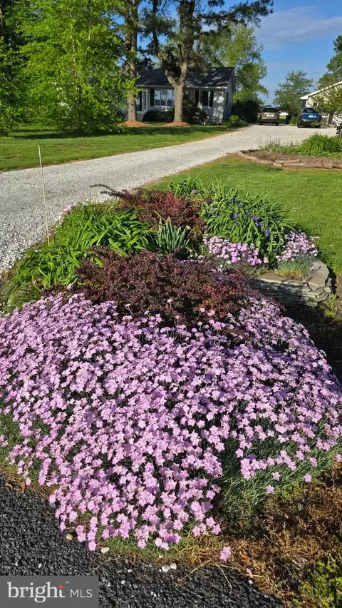 Other - 5188 Aireys Rd, Cambridge, MD 21613 photo 29 of 33