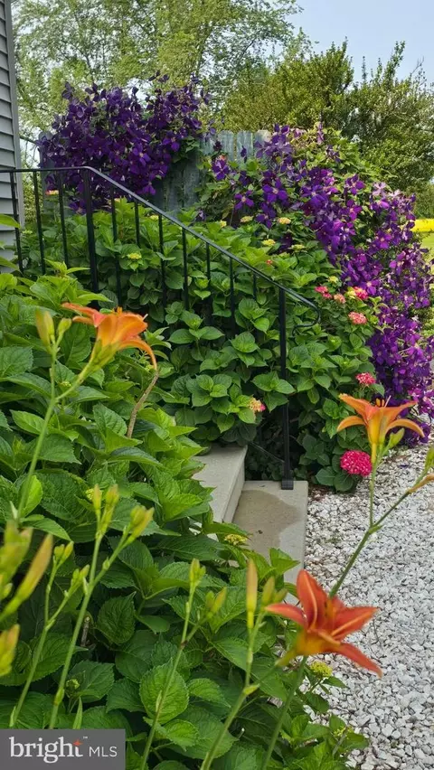 Exterior - 5188 Aireys Rd, Cambridge, MD 21613 photo 13 of 14
